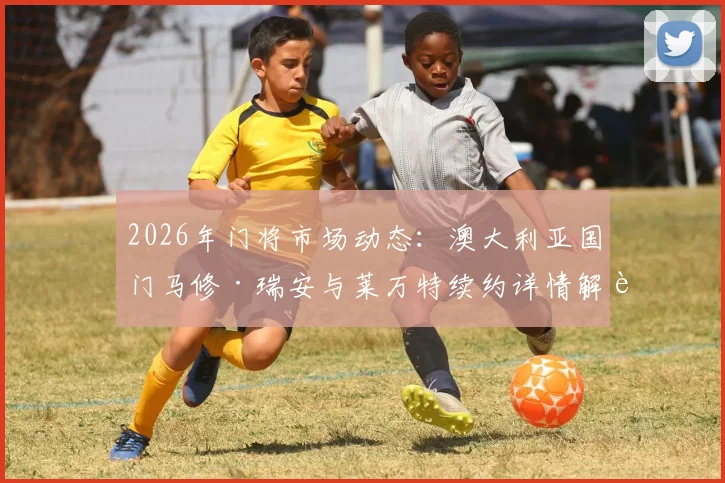 2026年门将市场动态：澳大利亚国门马修·瑞安与莱万特续约详情解读，未来去向与亚洲球员启示